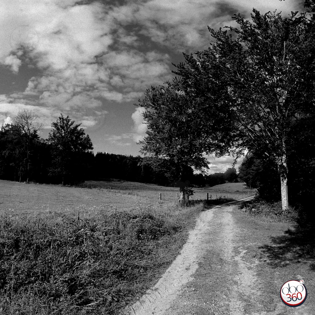 Photo 360° immersive, en noir et blanc, prise par une chaude journée d'été sur un sentier, dans la campagne, en Creuse.Plongez dans la photo !