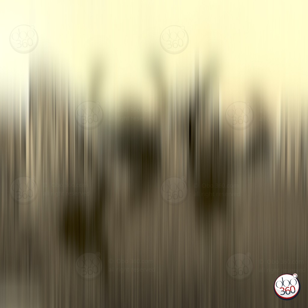 Composition artistique en flou linéaire HD, réalisée depuis une photo à 360°.