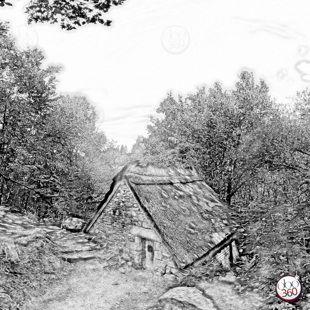 Photo 360° immersive, en noir et blanc, prise un matin d'été, sur un sentier caché, dans un massif forestier, quelque part en Limousin.Plongez dans la photo !