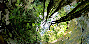 GreenTunnel Preview Obo360.com Right Reserved