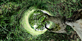 TreeInHole Preview Obo360.com Right Reserved