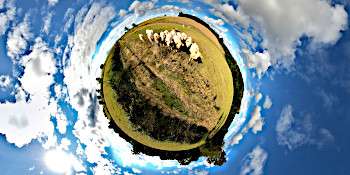 CowTrail Preview Obo360.com Right Reserved