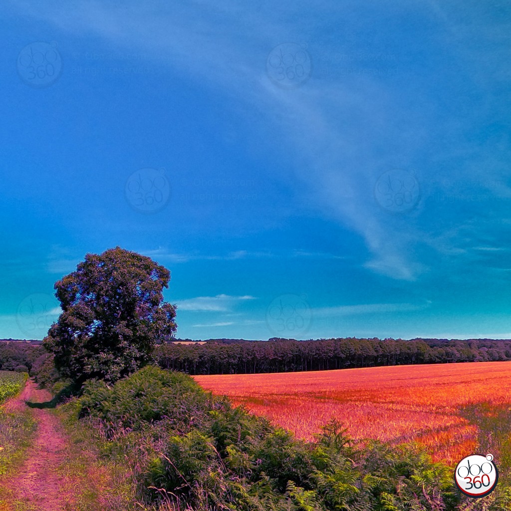 Artistic composition from a 360° shot.Photo taken in the countryside somewhere in Brittany.Dive directly into the work.
